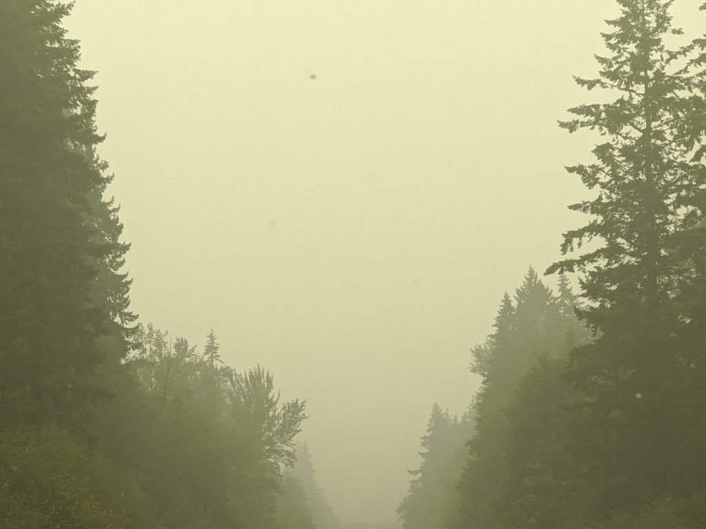 Can't see the future