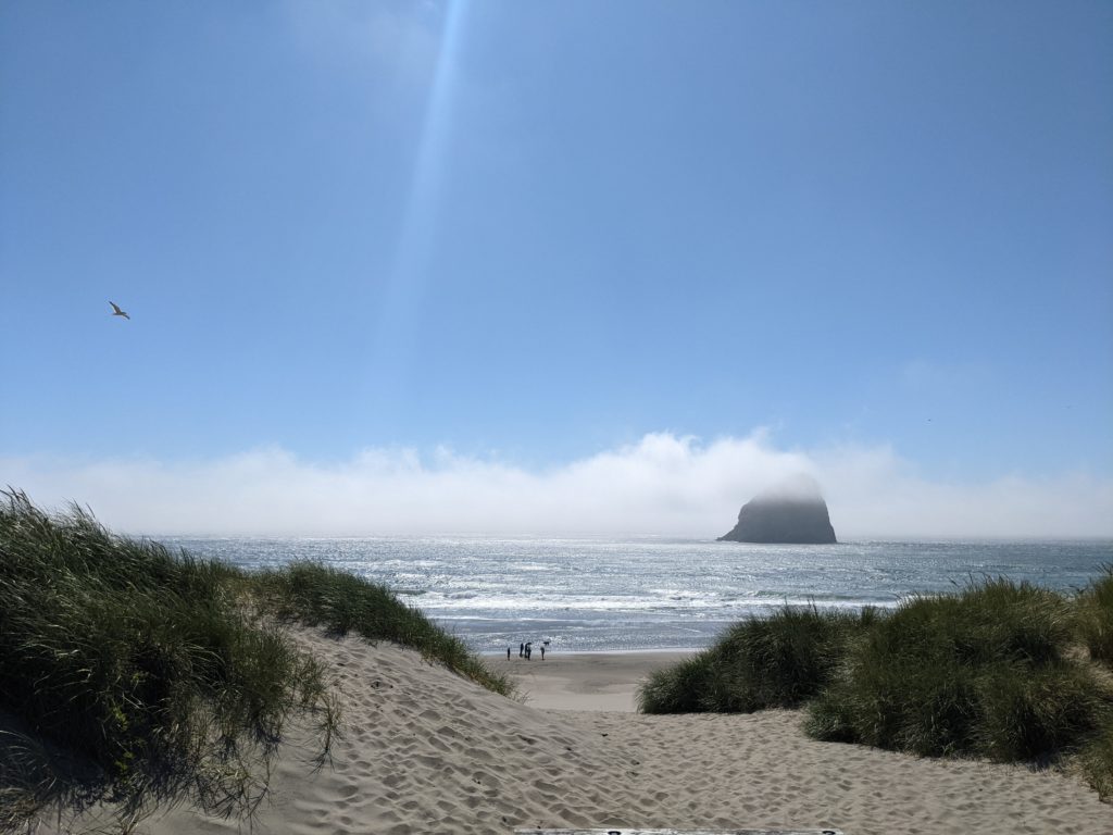 the coastal metaphor