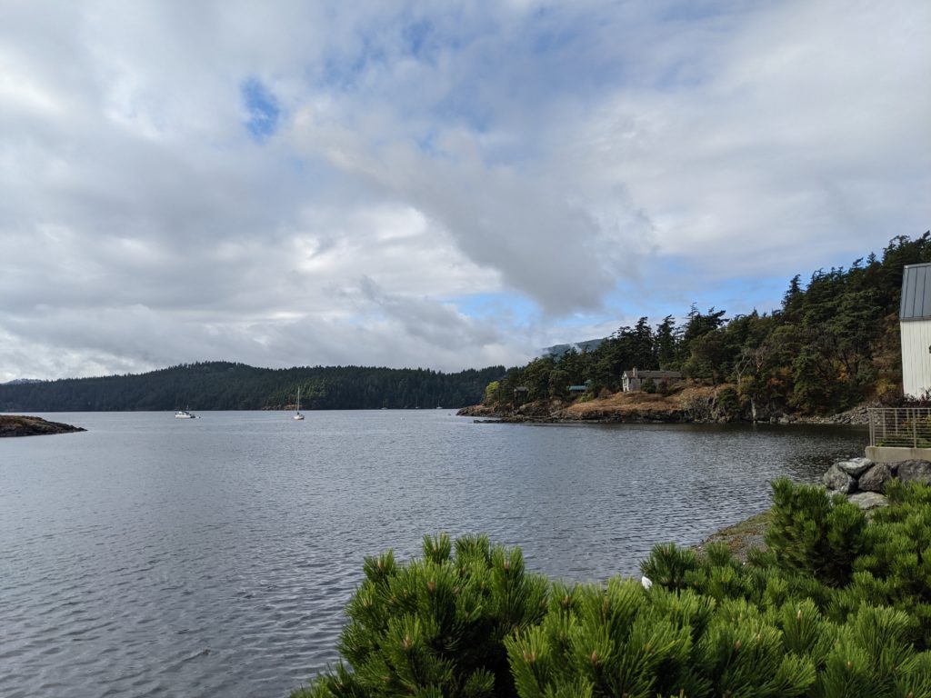 two sailboats in the bay