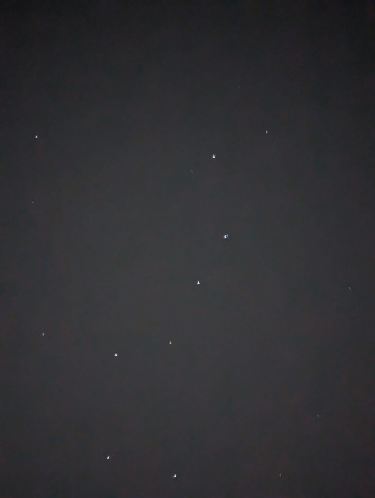 dipper in the early morning