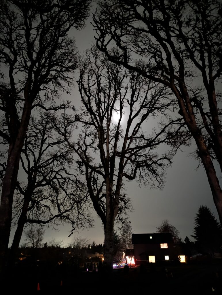 House on farm at night