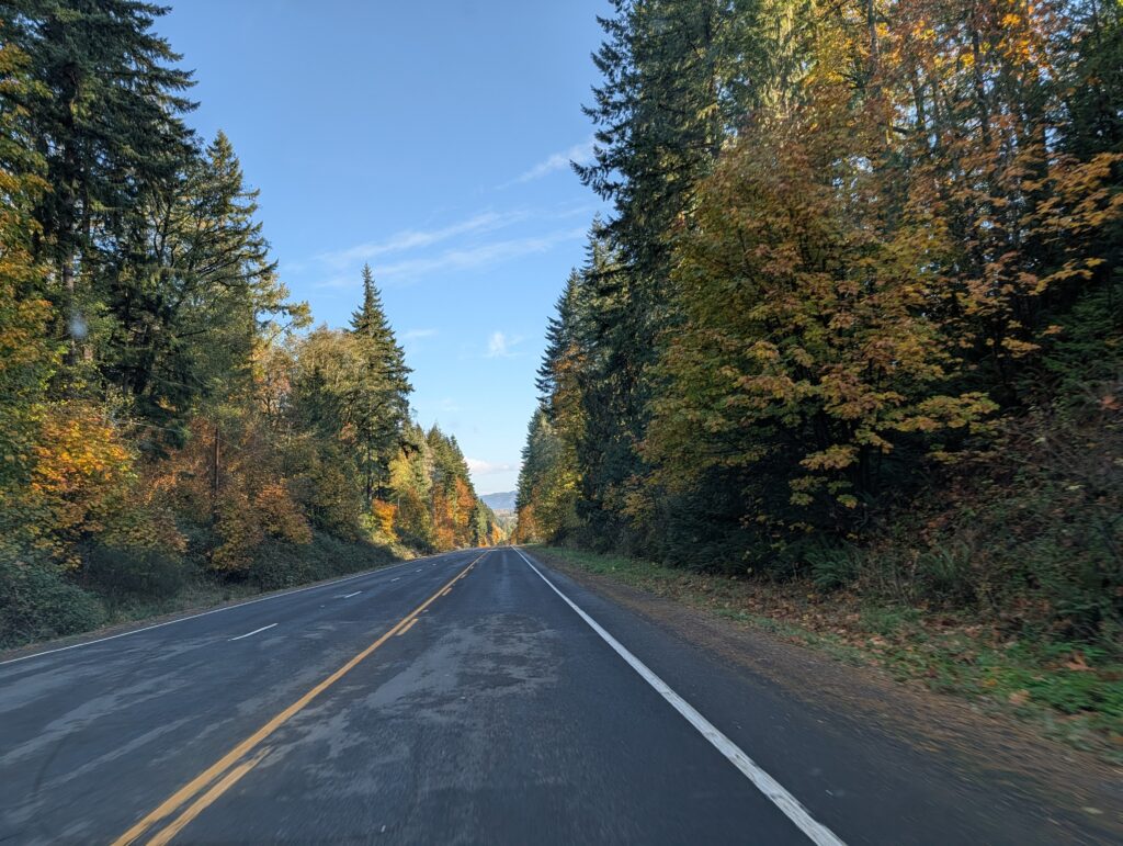 The road in fall